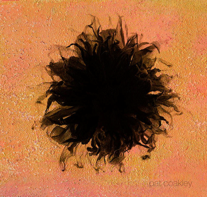 Dahlia Black Hole