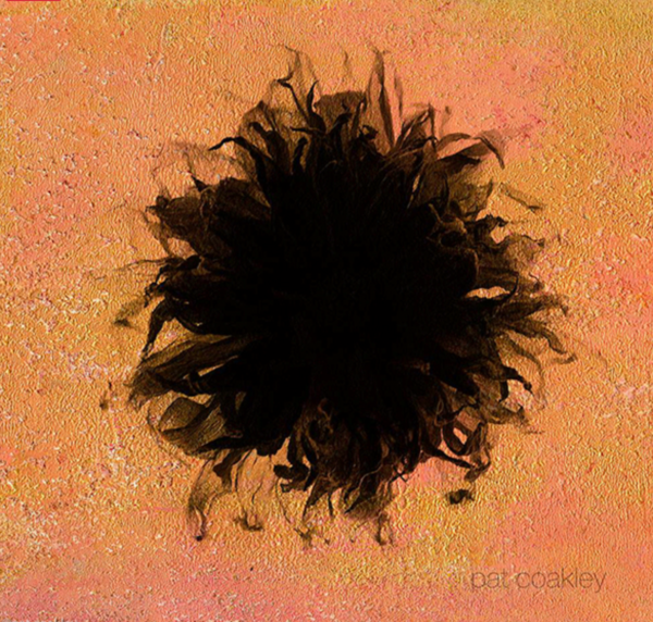 Dahlia Black Hole