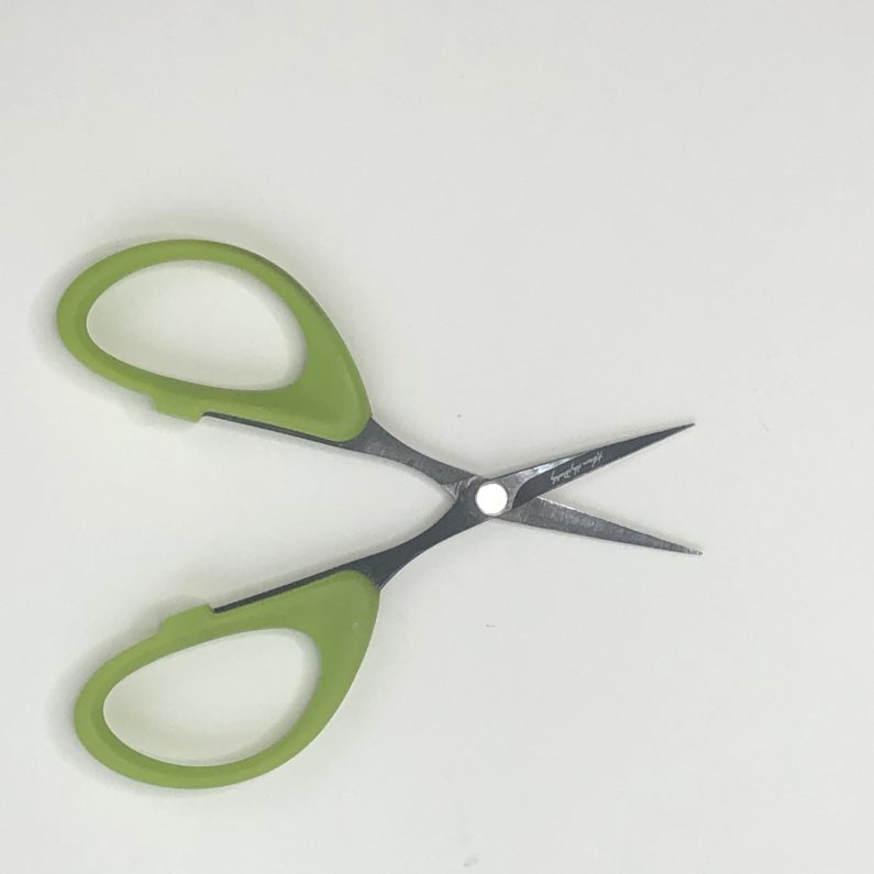 a pair of scissors that makes very nice snippets of things