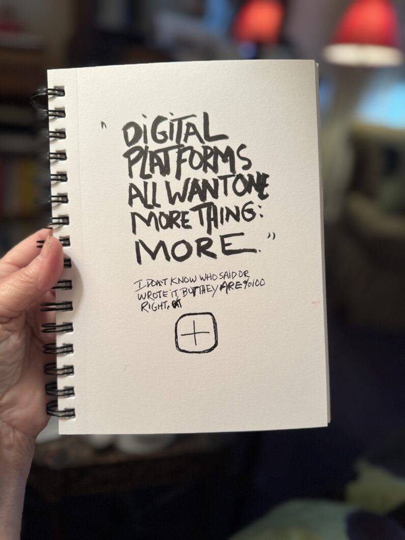 Digital Platforms All Want One More Thing: More. -unknown-